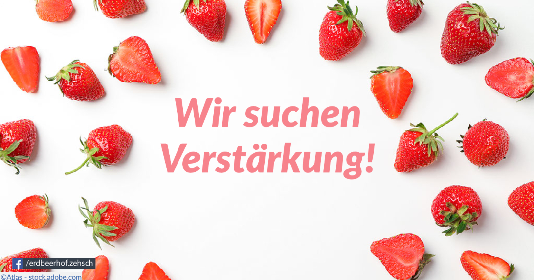 Erdbeerfrüchte und Text "Wir suchen Verstärkung"