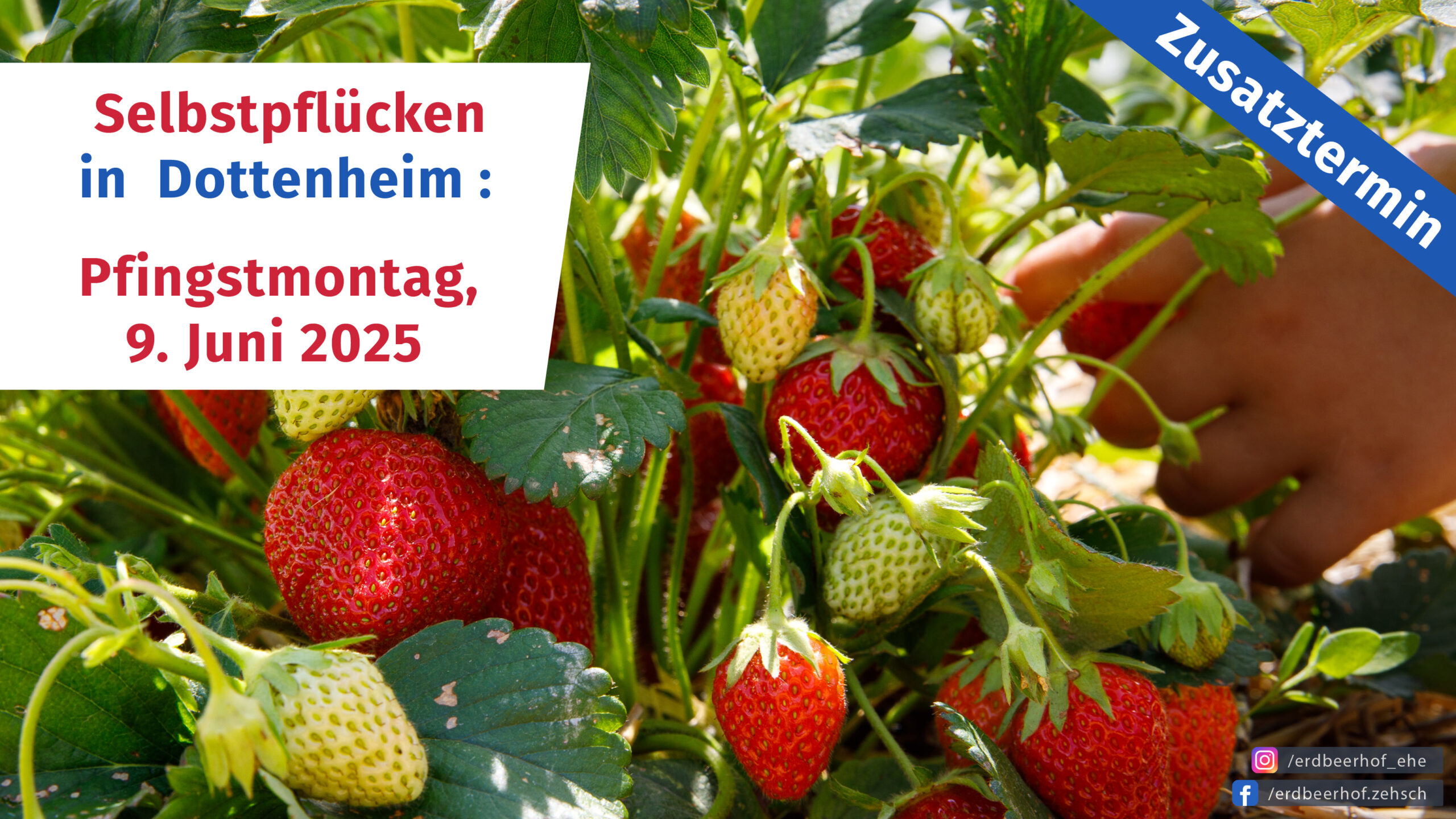 Selbstpflücken in Dottenheim 2025