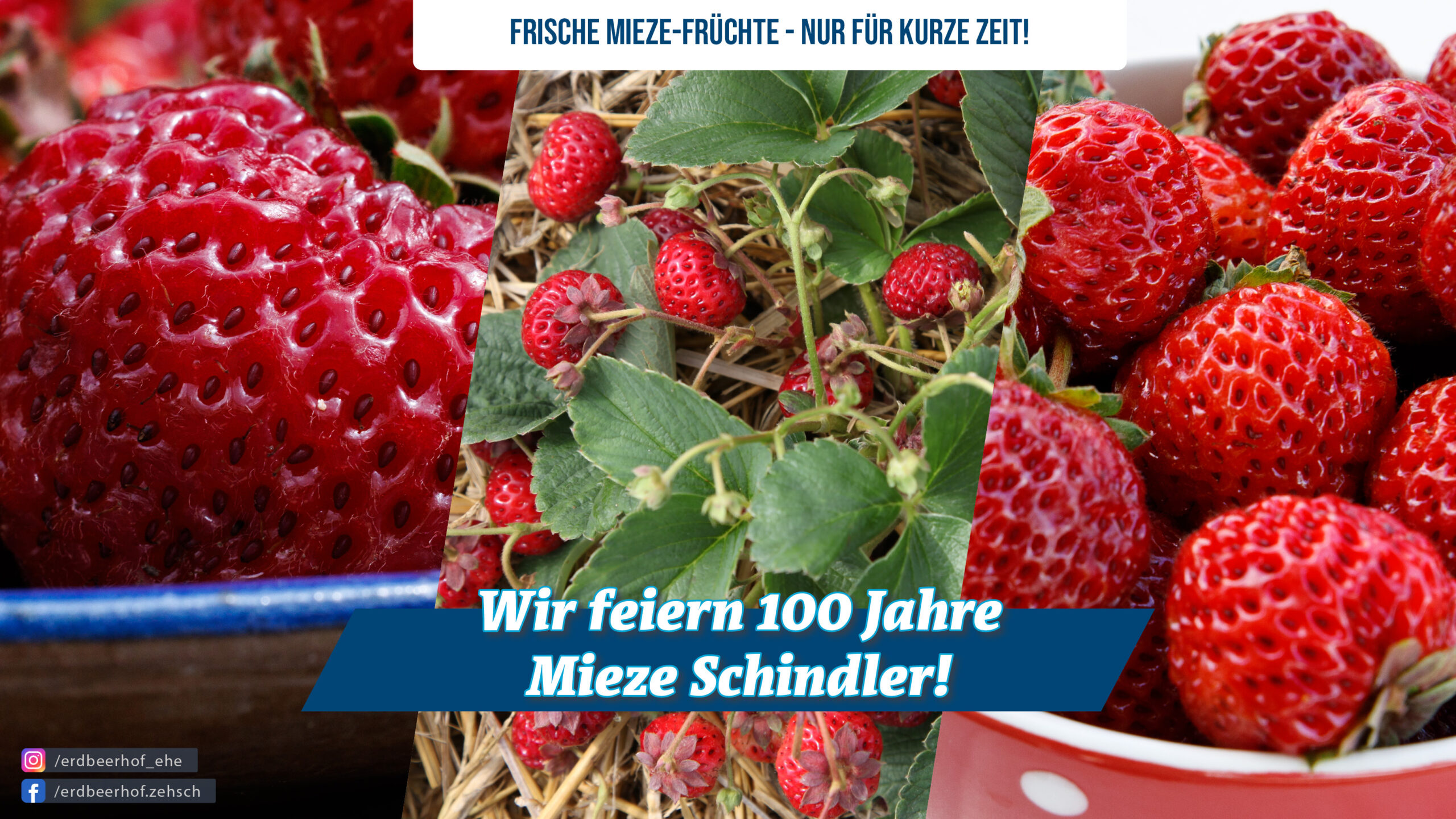 100 Jahre Mieze Schindler