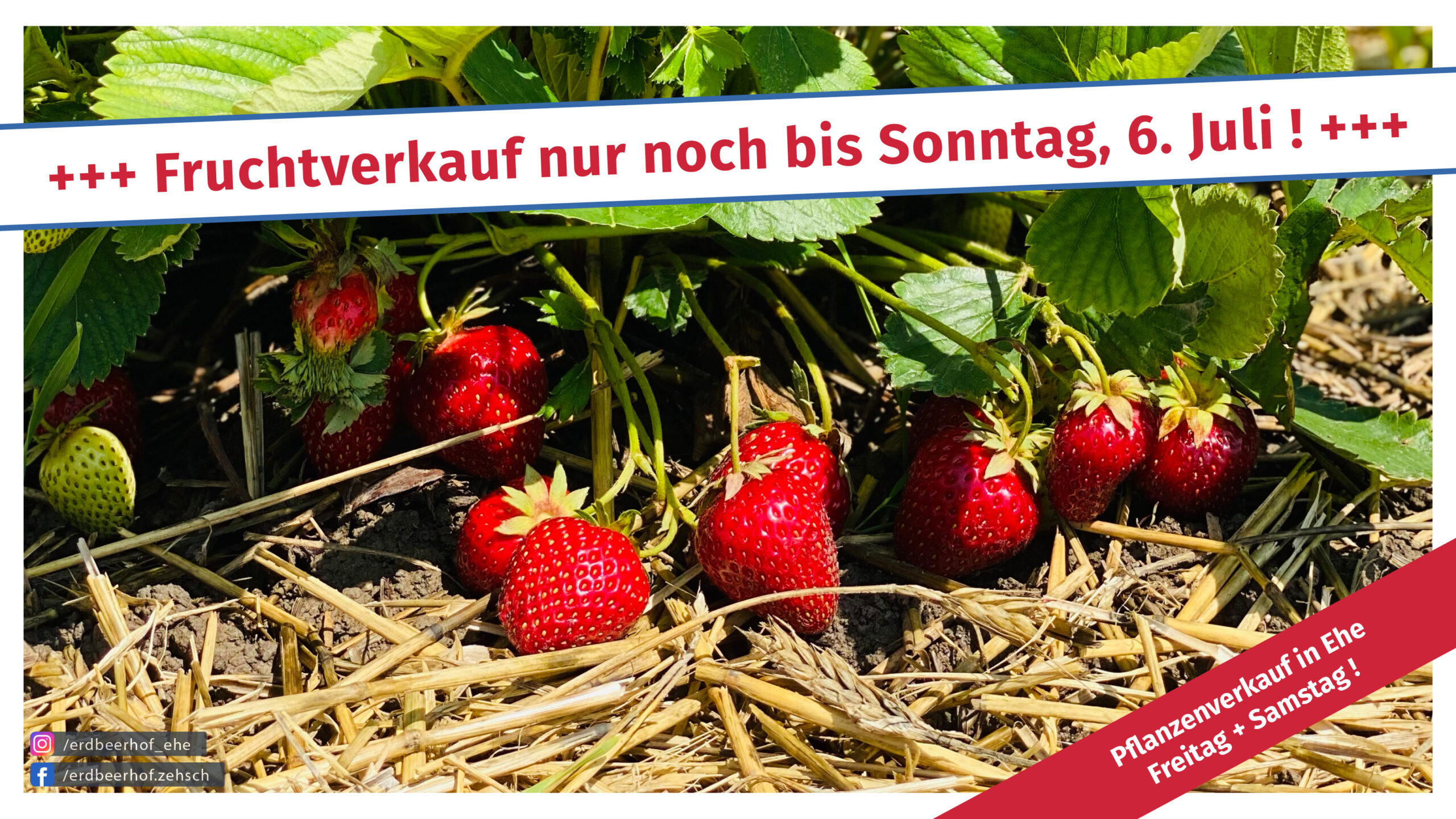 Ernteende 2025